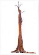 Ai Weiwei : entrela�ar = Intertwine, 2