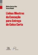 Linhas mestras da execu��o para entrega de coisa certa