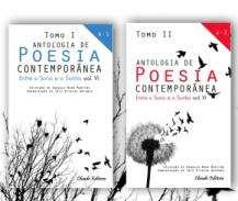 Entre o sono e o sonho : antologia de poesia contempor�nea, VI