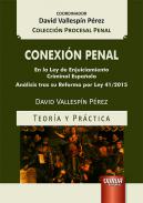 Conexi�n penal