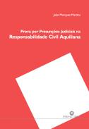 Prova por presun��es judiciais na responsabilidade civil aquiliana
