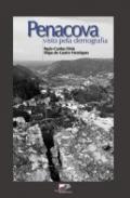 Penacova Visto Pela Demografia