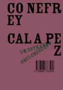 Um Estranho aqui Cheguei