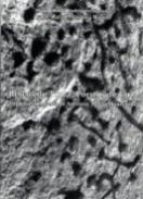 Riscos de tinta, pontos de luz