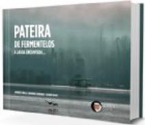 Pateria de Fermentelos
